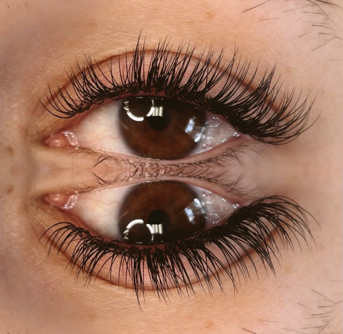Close-up of eyelash extensions by Kat Eye Studios